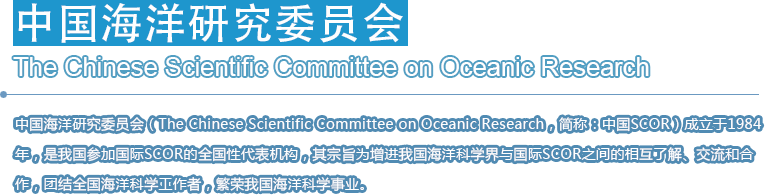 中国海洋研究委员会
